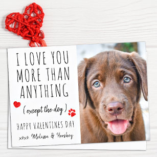 Love You Funny Dog Lover Pet Photo Valentines Day Holiday Card