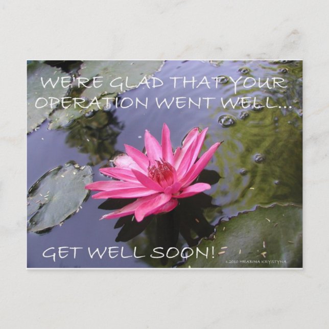 LOVE YOU , HAPPY BIRTHDAY, GET WELL POSTCARD (Front)