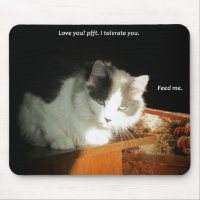 Love you? I Tolerate You