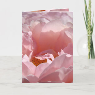 Love You Mom! Greeting Card Pink Rose Flower