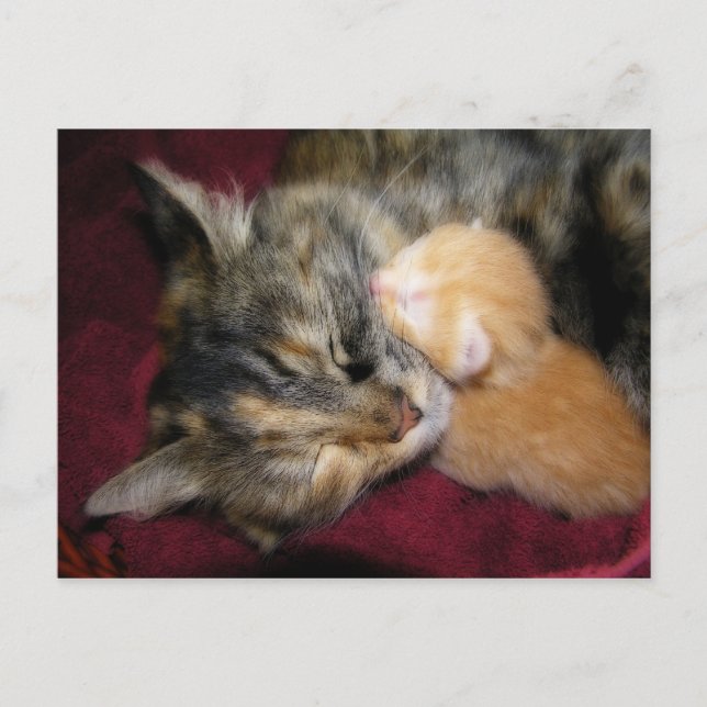 Love You Mom Postcard (Front)