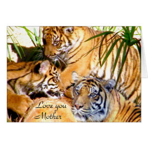 Love You,Mother_