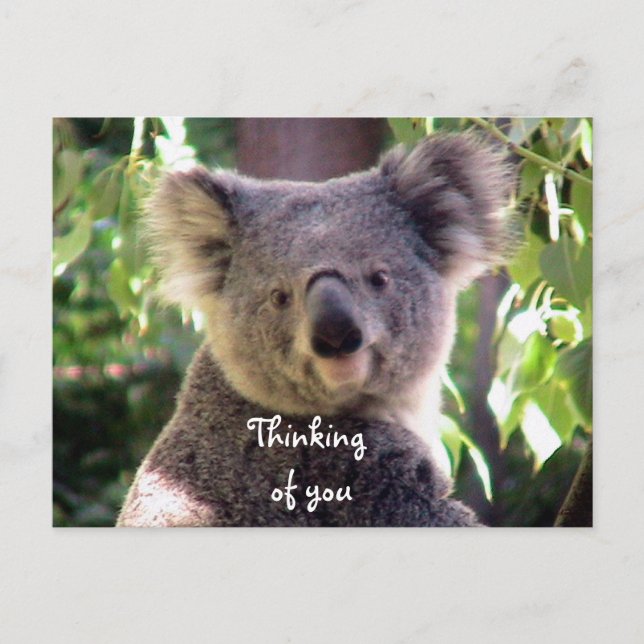 Love You_ Postcard (Front)