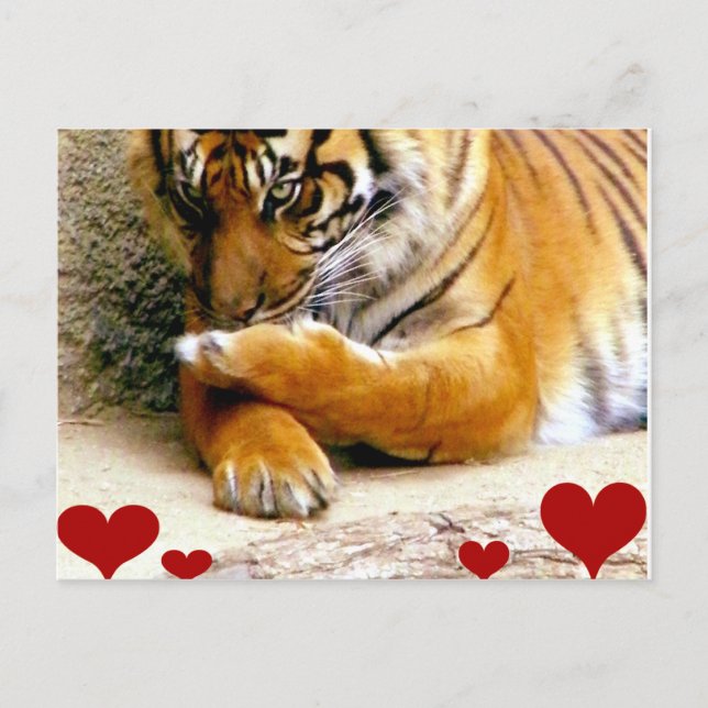 Love You_ Postcard (Front)