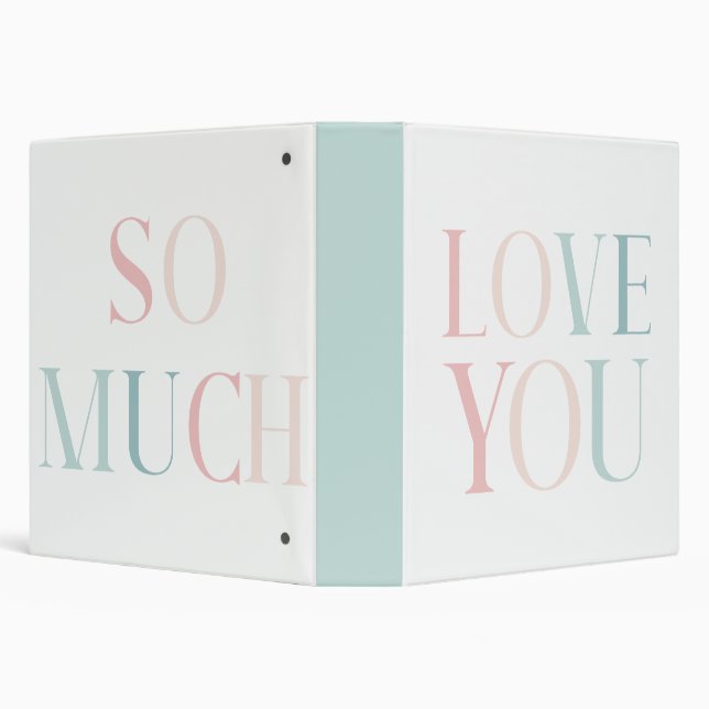 Love You So Much Baby Binder Keepsakes (Background)