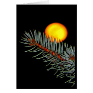 Love You To The Moon And Back!