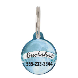 Love You to the Moon and Back Pet Tag