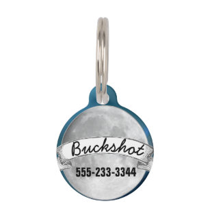 Love You to the Moon and Back Pet Tag
