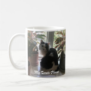 Love Your Cat with their Treats Coffee Mug