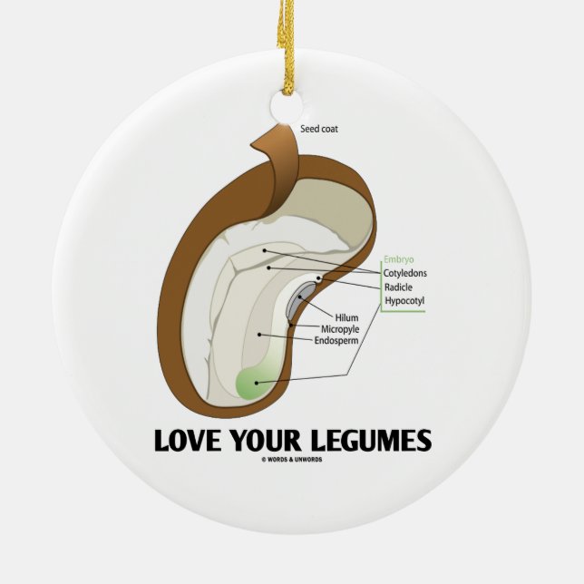 Love Your Legumes (Bean Dicotyledon) Ceramic Ornament (Back)
