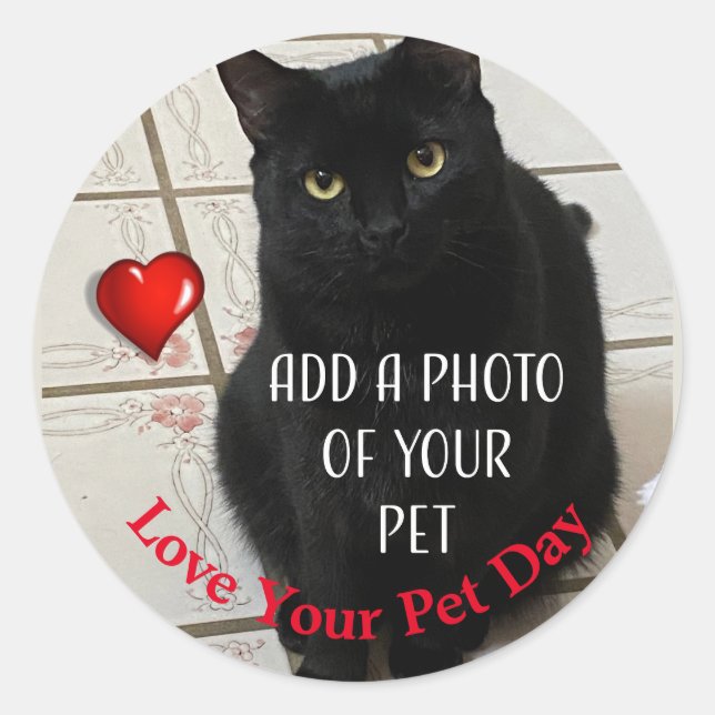 Love Your Pet Day Classic Round Sticker (Front)