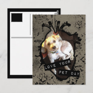 love your pet day postcard