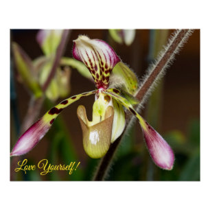 Love Yourself Orchid Poster