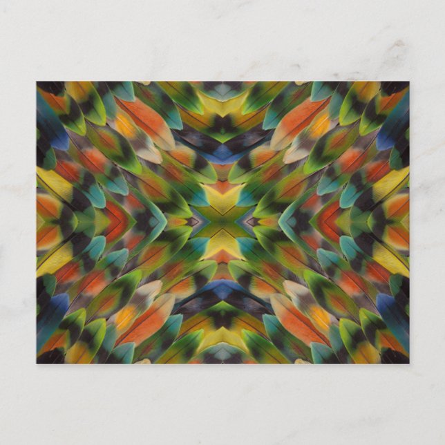 Lovebird feather kaleidoscope postcard (Front)
