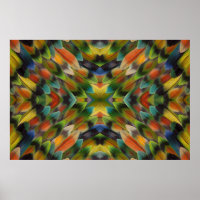 Lovebird feather kaleidoscope