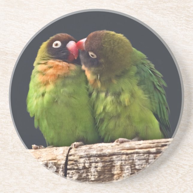 Lovebird Kiss Coaster (Front)