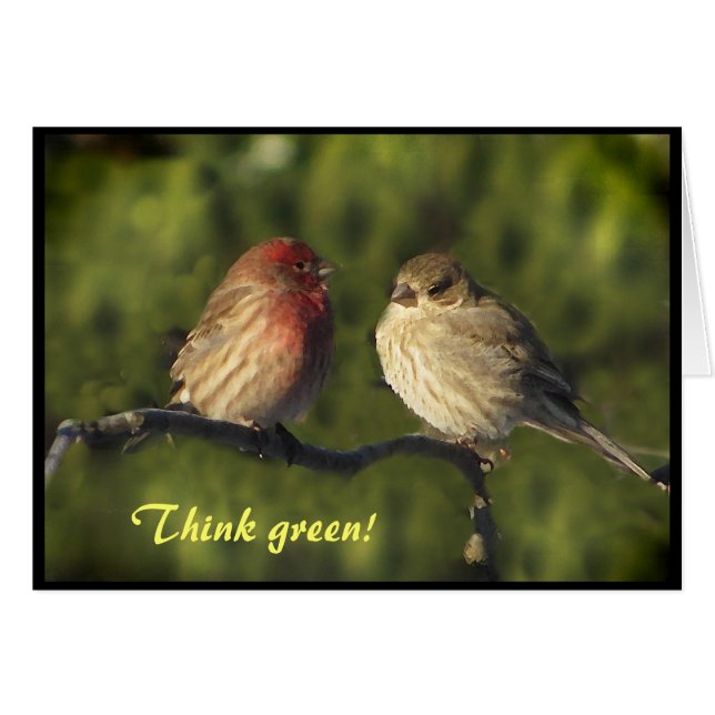 Lovebirds Earth Day (Front Horizontal)