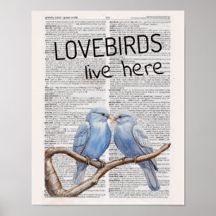 Lovebirds live here poster