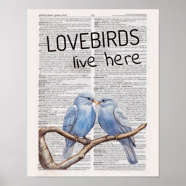 Lovebirds live here poster (Front)