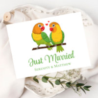 Lovebirds Nature Love Birds Just Married Wedding