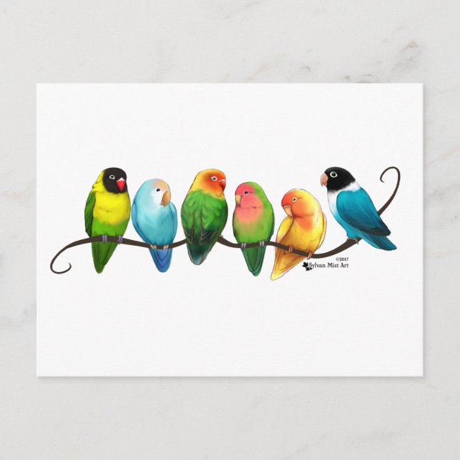 Lovebirds Postcard (Front)