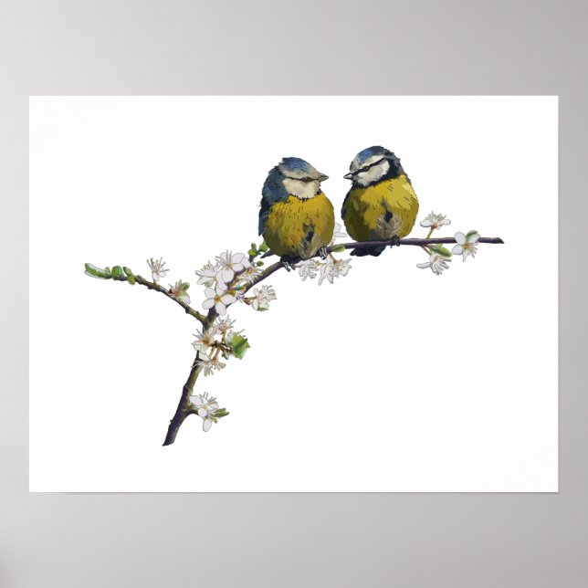 Lovebirds sitting on a cherry blossom branch white poster (Front)