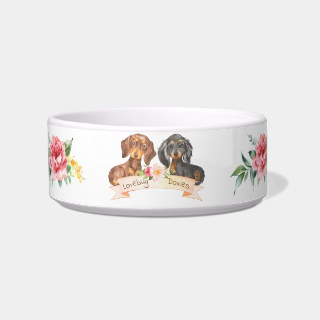 Lovebug Doxies 2022 Logo Bowl (Front)