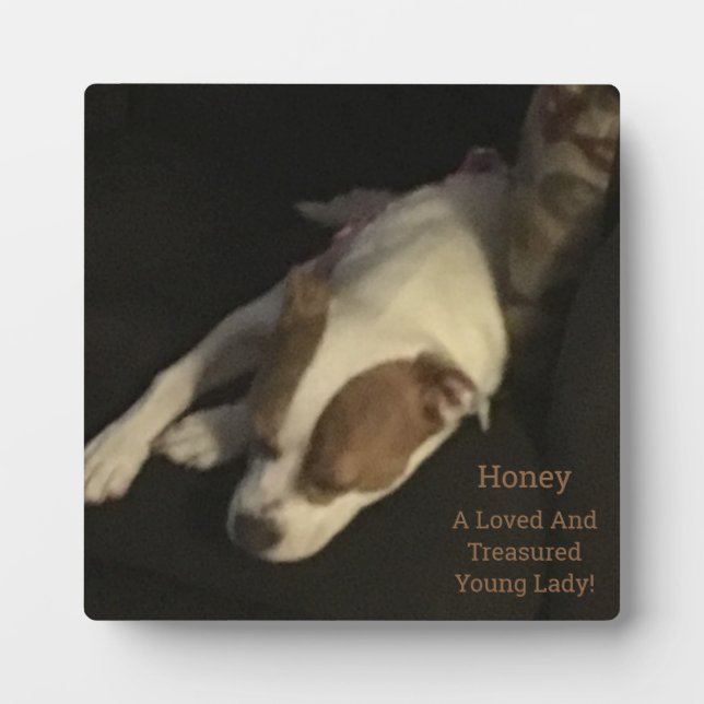 Loved And Treasured, Pet Photo Typography Plaque (Front)