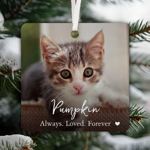 Loved Forever Name Photo Pet Memorial Metal Ornament