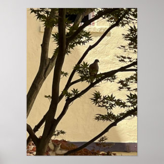 Lovedove silhouette poster
