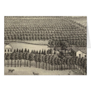 Loveless Farm, Nebraska