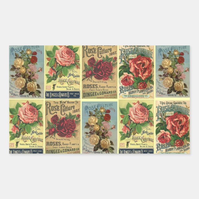 Lovely Antique Heirloom Rose Catalogues Flowers Sticker (Front)
