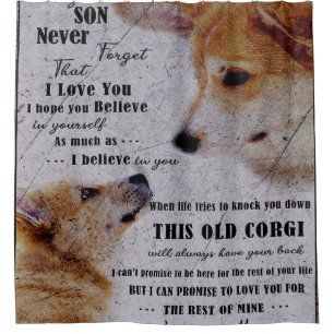 lovely baby Golden Retriever