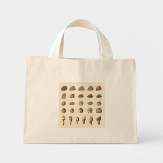 Lovely Barnacle Tote Bag