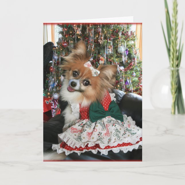 Lovely Bella Shares a Holiday smile (Front)