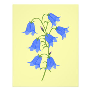 Lovely Bluebells Photo Print