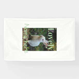 Lovely bunny rabbit pet photo name green pastel banner
