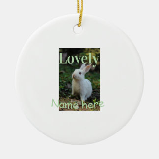 Lovely bunny rabbit pet photo name green pastel  ceramic ornament