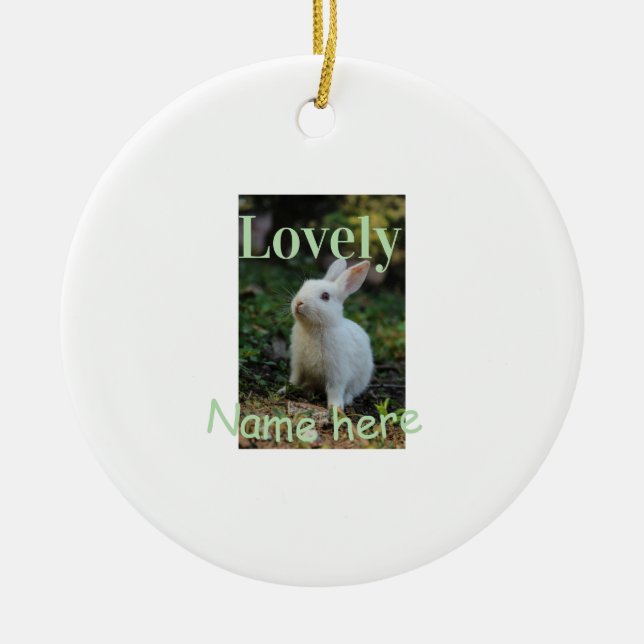 Lovely bunny rabbit pet photo name green pastel  ceramic ornament (Front)