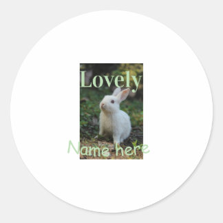 Lovely bunny rabbit pet photo name green pastel  classic round sticker