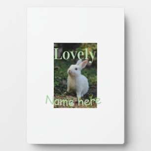 Lovely bunny rabbit pet photo name green pastel  plaque