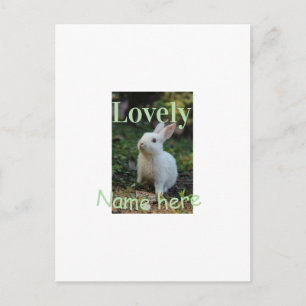 Lovely bunny rabbit pet photo name green pastel  postcard
