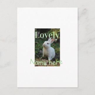 Lovely bunny rabbit pet photo name green pastel  postcard