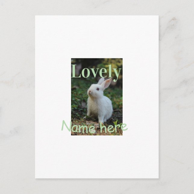 Lovely bunny rabbit pet photo name green pastel  postcard (Front)