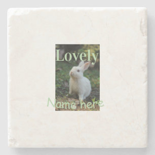 Lovely bunny rabbit pet photo name green pastel  stone coaster