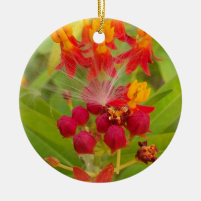 Lovely Colorful Floral with Milkweed Art Print Ceramic Ornament (Front)