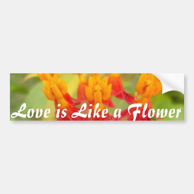 Lovely Colourful Floral with Milkweed Art Print Bumper Sticker (Front)