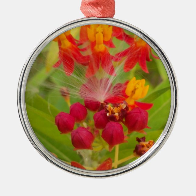 Lovely Colourful Floral with Milkweed Art Print Metal Ornament (Front)