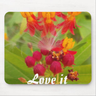 Lovely Colourful Floral with Milkweed Art Print Mouse Pad