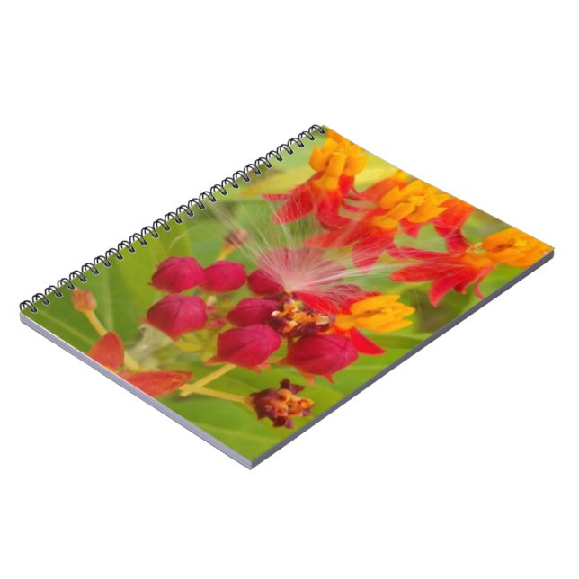 Lovely Colourful Floral with Milkweed Art Print Notebook (Left Side)